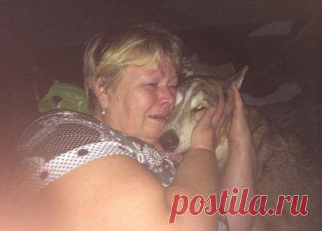 найдена собака г Москва.
Всё котики да котики...вот вам пёс. Пёс по кличке Волчок пропал 3 года назад. 11 августа 2014 года он нашёлся в приюте. На фото встреча пса с хозяйкой.