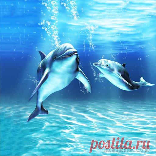 Как установить живые обои на рабочий стол windows 10 Каждый пользователь операционной системы Windows 10 хотел бы, что бы его рабочий стол был более привлекательным и чем-то отличался от других.Одним из способов украшения своего рабочего стола служит ус...