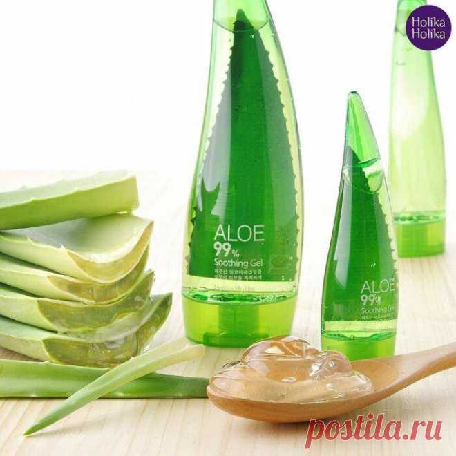 Гель для тела Holika Holika универсальный несмываемый с алоэ вера Aloe 99% Soothing Gel
С высоким содержанием сока алоэ вера, который поступает с чистого острова Чеджу в Южной Корее, получают из листьев алоэ вера путем ферментации с использованием грибов. Благодаря этому гель становится еще более натуральным без лишних консервантов и оказывает более успокаивающее действие на кожу. Алоэ глубоко и...
Читай дальше на сайте. Жми подробнее ➡