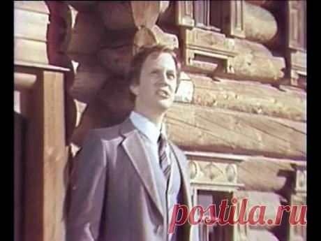 Леонид Сметанников - Выйду на улицу