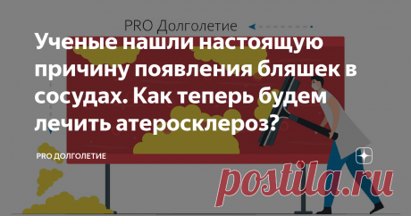 Ученые нашли настоящую причину появления бляшек в сосудах. Как теперь будем лечить атеросклероз? Статья автора «PRO Долголетие» в Дзене ✍: Достаточно долгое время были признано, что главная причина развития атеросклероза и последующие риски умереть от инфарктов и других ССЗ завязаны на высоком...