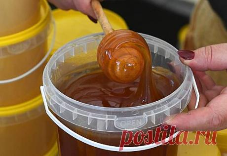 Власти прокомментировали сообщения о нехватке меда в России - Рамблер/новости