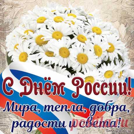 День России — славный праздник!
Может, главный он в стране.
В этот день желаю счастья
Землякам, родным, себе.