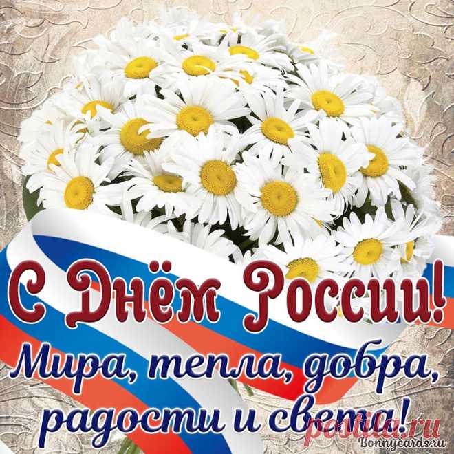 День России — славный праздник!
Может, главный он в стране.
В этот день желаю счастья
Землякам, родным, себе.