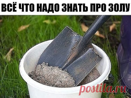ПОЧТИ ВСЕ, ЧТО НУЖНО ЗНАТЬ ПРО ЗОЛУ 
Сохраните, чтобы не потерять! 
1. Зола питает растения. 
Азота в ней нет, но содержится до 30 элементов: калий, кальций, магний, железо, кремний, фосфор, сера, бор, марганец и др. 
Зола может заменить фосфорно-калийное удобрение. При этом в древесной золе и в золе, полученной от сжигания соломы, содержится разное количество элементов. 
В 100 г древесной золы (1 стакан объёмом 200 гр) содержится 3 г фосфора, 8 г калия, 25 г кальция. 
Зола соломы содержит бо