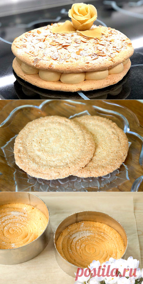 Бисквит Дакуаз - рецепт классический с миндалем | ChocoYamma | Яндекс Дзен

пора узнать и новые рецепты бисквитного теста. Нет-нет, мы сегодня не будем снова возвращаться к вопросам о том - делать ли классический бисквит на взбитых белках или готовить быстрое бисквитное тесто без заморочек. Сегодня у нас в программе не совсем обычный (а вернее, совсем необычный) бисквит “Дакуаз”.