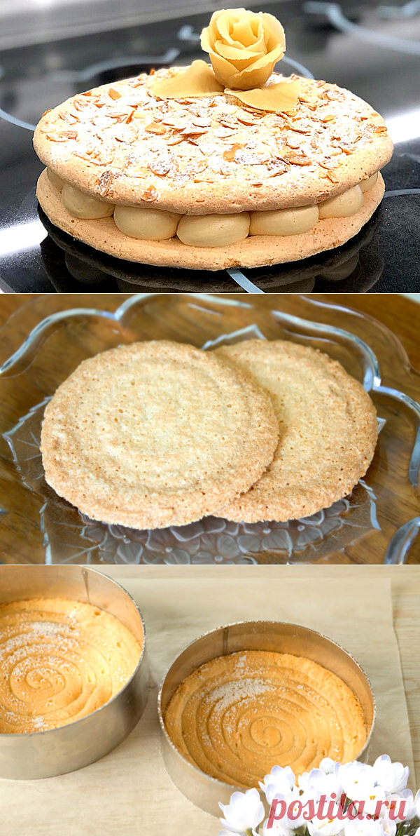 Бисквит Дакуаз - рецепт классический с миндалем | ChocoYamma | Яндекс Дзен

пора узнать и новые рецепты бисквитного теста. Нет-нет, мы сегодня не будем снова возвращаться к вопросам о том - делать ли классический бисквит на взбитых белках или готовить быстрое бисквитное тесто без заморочек. Сегодня у нас в программе не совсем обычный (а вернее, совсем необычный) бисквит “Дакуаз”.