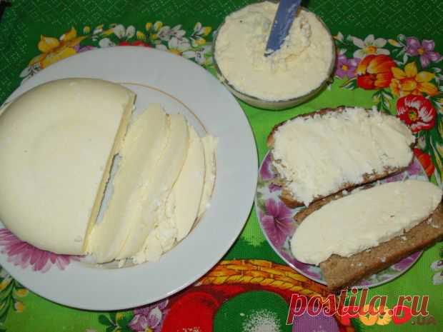 Деревенский сыр из творога - Кулинарные рецепты на Food.ua