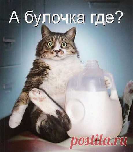 пожадничали...