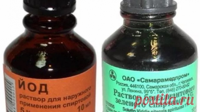 Помощники садовода из аптеки и хозяйственного магазина 
Помощники садовода из аптеки и хозяйственного магазина

В «дачное межсезонье» настоящий огородник не прекращает думать о своих посадках и грядках. Он занимается выгонкой зелени, выращивают базилик в …