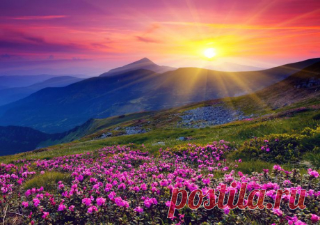 5 главных ценностей в жизни каждого человека - Максим Дудкин - 5 сфер …