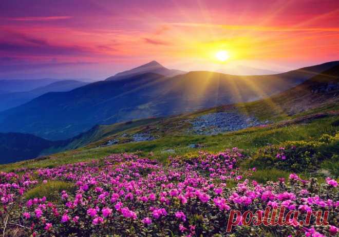 5 главных ценностей в жизни каждого человека - Максим Дудкин - 5 сфер                    …