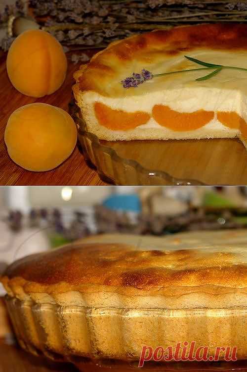 Абрикосовый пирог с творогом
