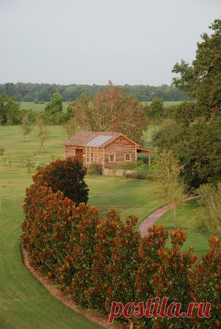 Просто фото: Живая стена — красоты со всего мира | Houzz Россия