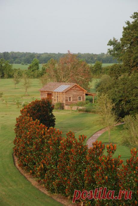 Просто фото: Живая стена — красоты со всего мира | Houzz Россия