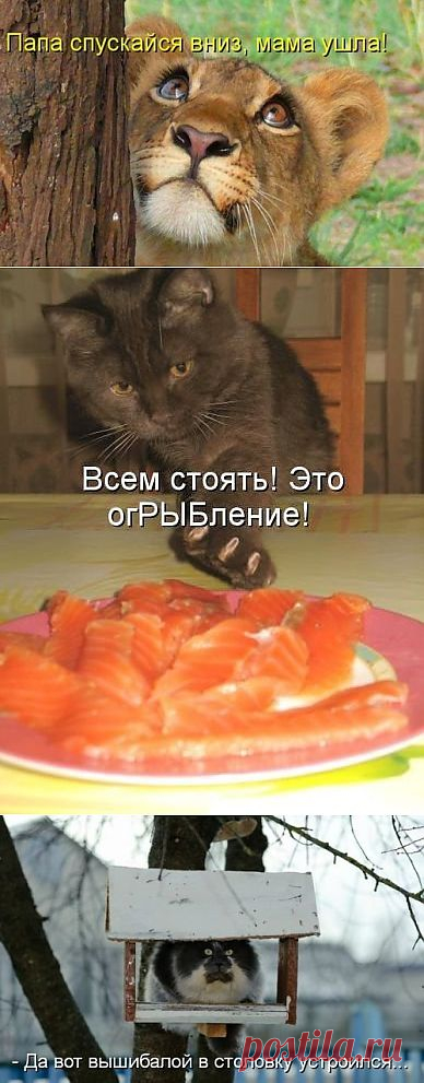 Позитивные фото.