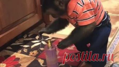 НЕ ОТКРЫВАЕТСЯ,ЗАРАЗА!!!