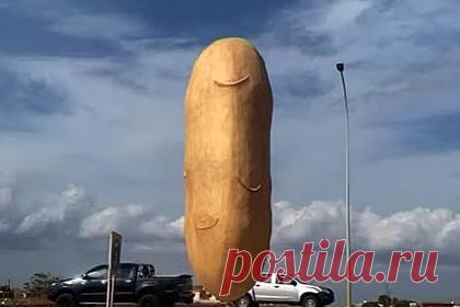 На Кипре установили статую картофеля в форме пениса. Новая статуя, которую установили в кипрской деревне в честь картофеля, вызвала насмешки в социальных сетях. Пользователи увидели в ней сходство с пенисом. Статуя была установлена в деревне Ксилофагу, недалеко от курортного поселения Айя-Напа на Кипре. Ксилофагу входит в группу деревень.