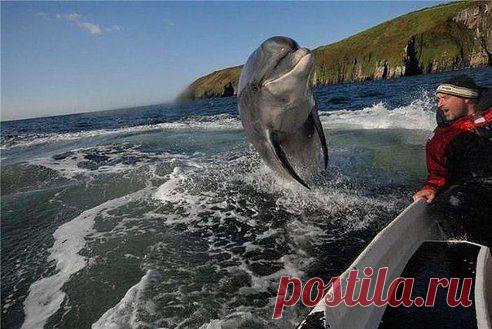 Редкий кадр