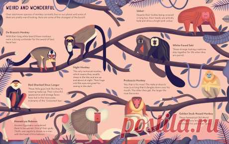 Owen Davey | Folio illustration agency