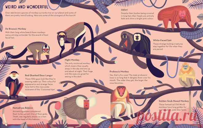 Owen Davey | Folio illustration agency