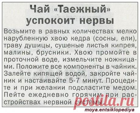 Чай Таежный успокоит нервы