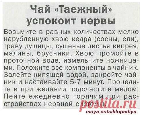Чай Таежный успокоит нервы