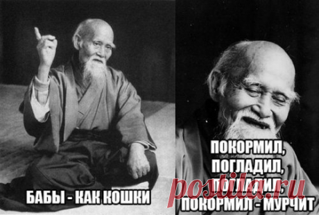 Прикольные картинки онлайн (46 шт)