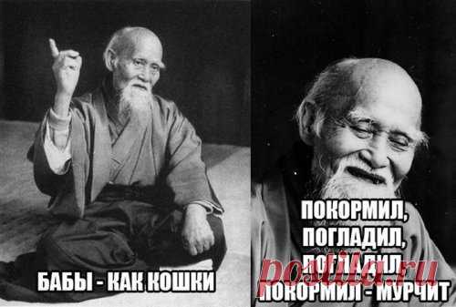 Прикольные картинки онлайн (46 шт)