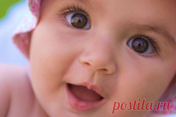 15+ Деток С Глазками Как У Кота В Сапогах, Из “Шрека”. | Лучшие истории со всего мира