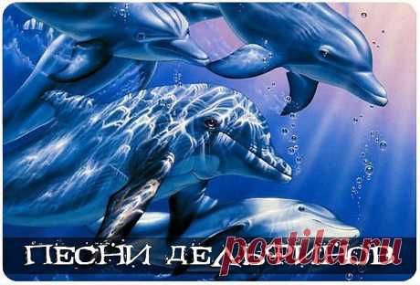 ЧУДЕСНЫЕ ПЕСНИ ДЕЛЬФИНОВ!
Добавляйте себе и наслаждайтесь!
Дельфины несут энергию континента, существовавшего на Земле в незапамятные времена. Люди, которые жили там, умели дышать под водой и знали, как общаться друг с другом посредством вибраций. Таким образом они могли присутствовать сразу во множестве мест. Дельфины по сей день не утратили этого знания. Им известно, что радость повышает вибрации, и они охотно идут навстречу людям, чтобы в играх и общении научить их вибрациям радости.