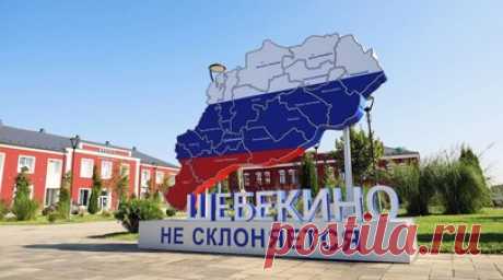 Власти Шебекина: на территории предприятия упал снаряд со стороны ВС Украины. ВСУ выпустили снаряд по территории промышленного предприятия в Шебекине Белгородской области, заявил глава администрации Шебекинского городского округа Владимир Жданов. Читать далее
