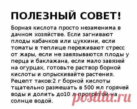 Сохранённые фотографии | 7 572 фотографии