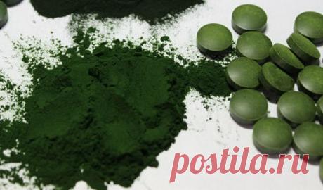 спирулина : спирулина