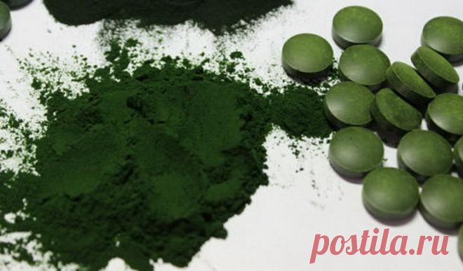 спирулина : спирулина