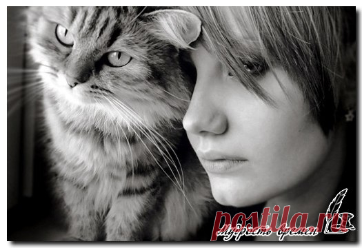 Можно закрыть глаза на то, что видишь, но нельзя закрыть сердце на то, что чувствуешь.