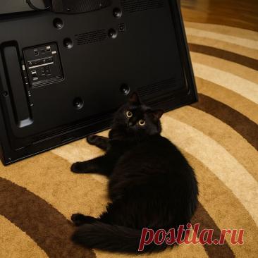 Матвей против телевизора - Готовим так!