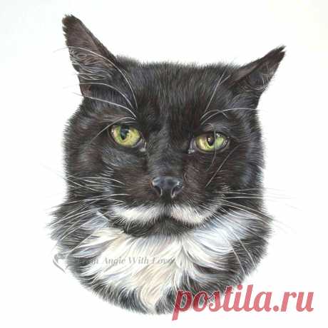 Кошачьи портреты карандашом