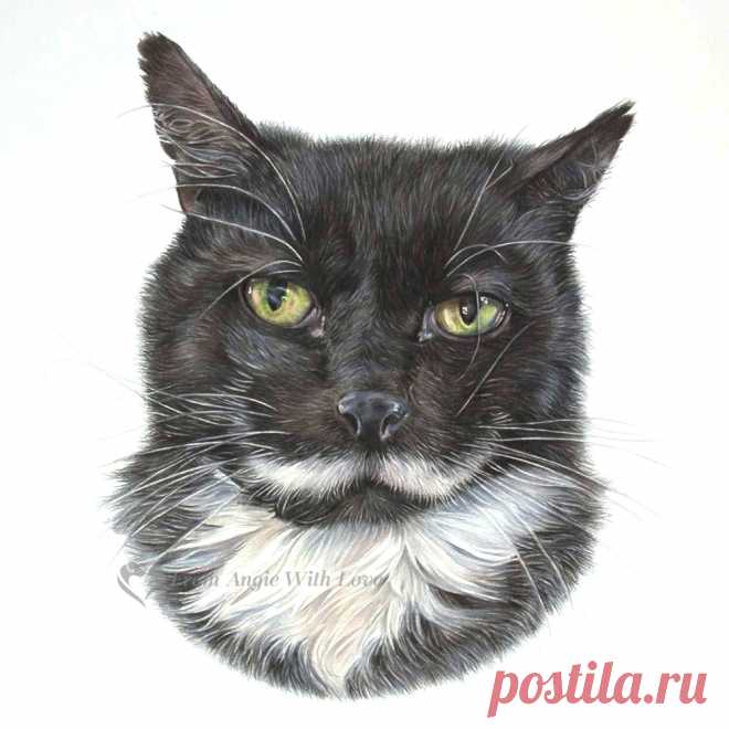 Кошачьи портреты карандашом