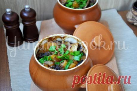 Картофель с грибами в горшочке - пошаговый рецепт с фото