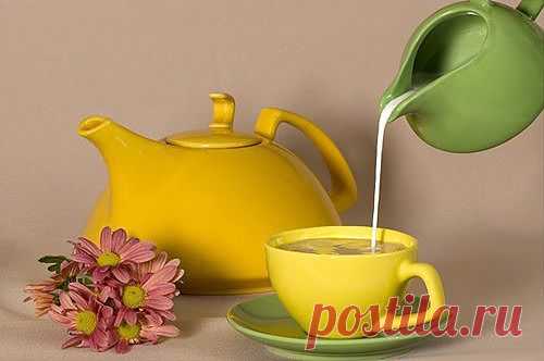 Только самое интересное - 10 мифов о чае