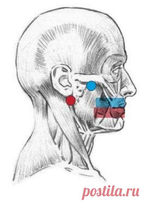 Бытовые хитрости для хозяек » Женский Мир