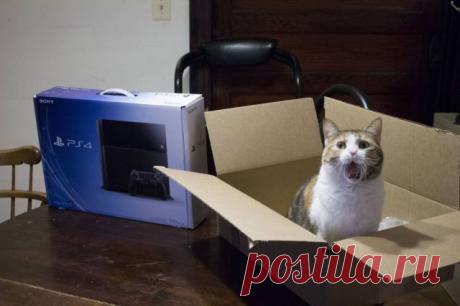 до сих пор не могу решить квартирный 
вопрос!