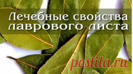 Применение лаврового листа для лечения.