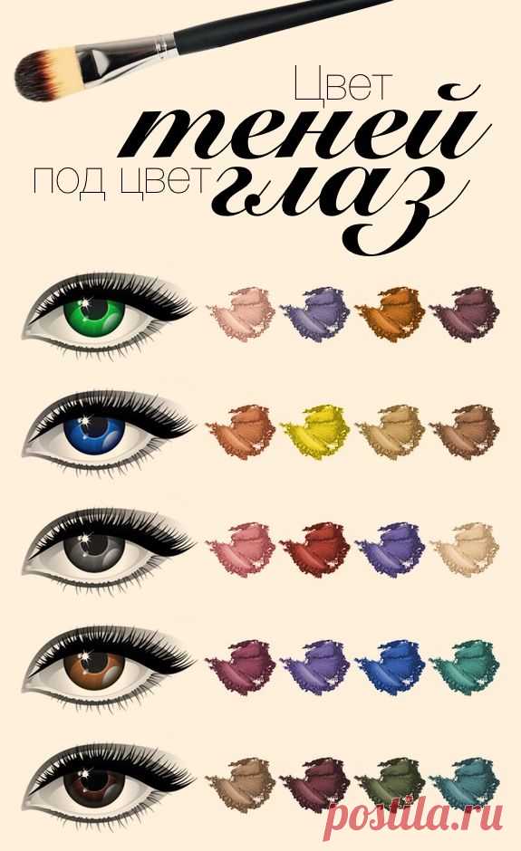 Инфографика: тени для век, выбираем цветовую гамму - Я Покупаю