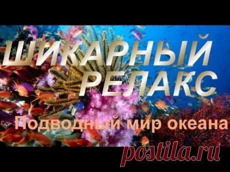 Очень красивая Релакс музыка + Красота подводного мира - YouTube