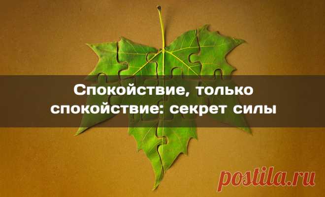 Спокойствие, только спокойствие: секрет силы