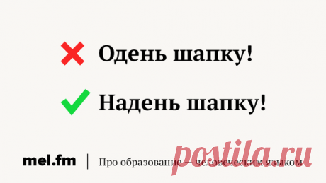 25 самых частых ошибок в русском языке, которые не перестают раздражать | Мел
