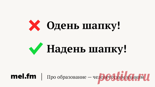 25 самых частых ошибок в русском языке, которые не перестают раздражать | Мел