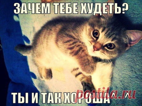 Зачем тебе худеть?